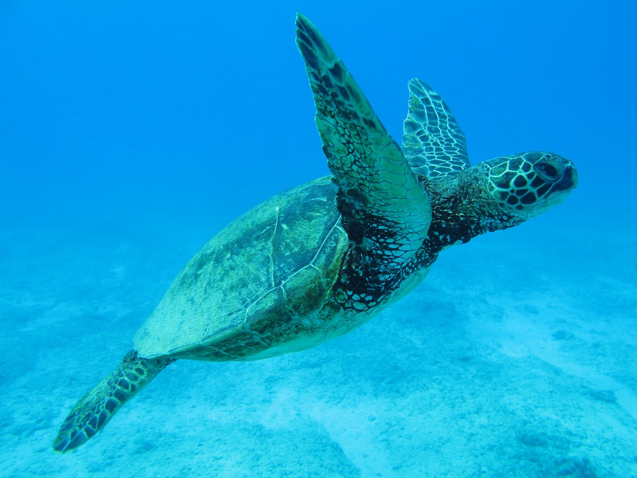 Hawaii
