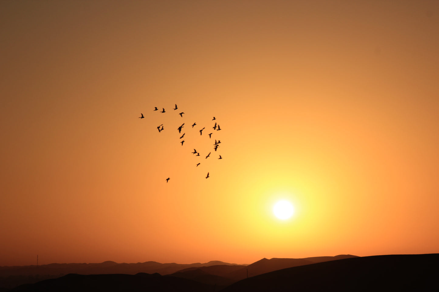 Oman